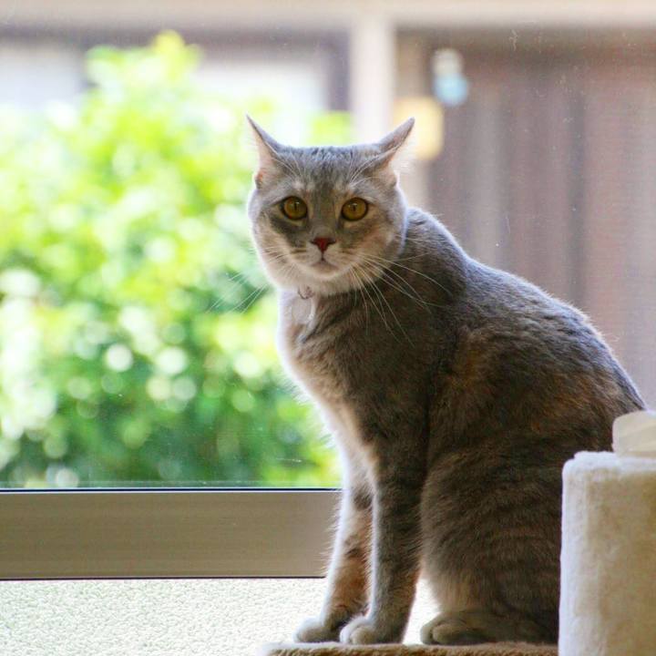 Bfd7f473 0dd8 4ce4 b949 08a2377486f8 1533797031113