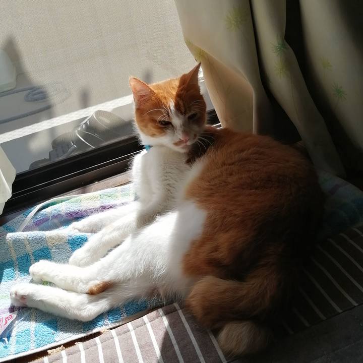 Bfd82b63 ce44 4bbb 9ebe 8f3cf4b1c3f3 1602561255526