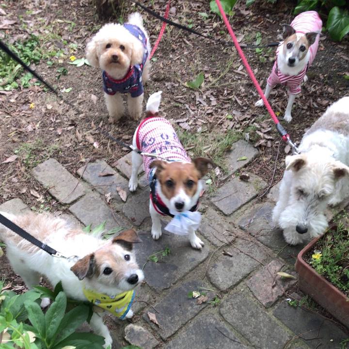 Bfd86f8d 4434 47a5 8dec 3876ebb77cd0 1525424196382