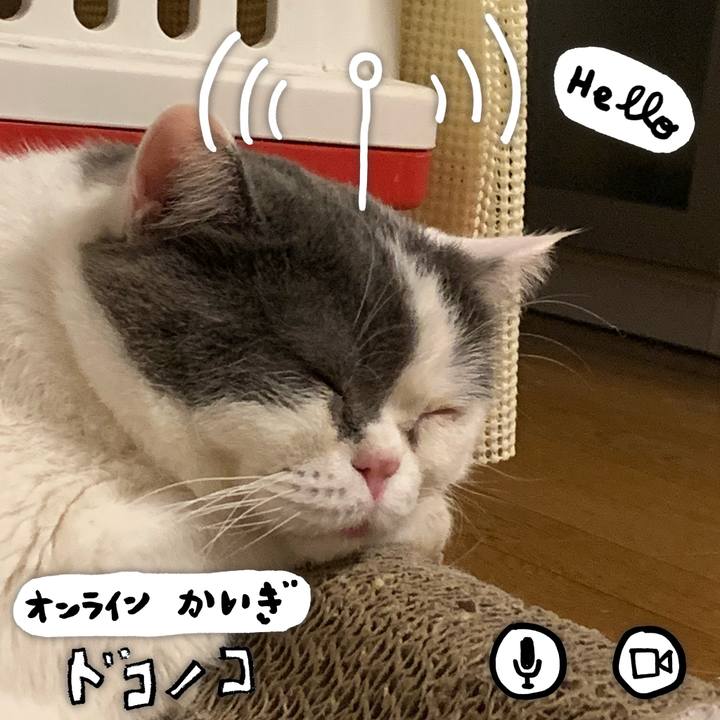 Bfd8e298 892d 47fc 8257 b4115236371d 1590887484279