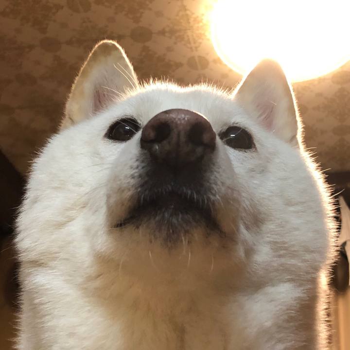 Bfd8f2c0 5373 4902 a0fc cf912784a134 1705915908459