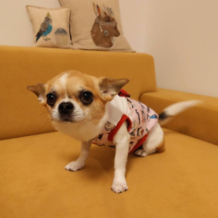 Bfd90bfc 1b60 46f6 8da0 01e6a8b9e8e8 1689243918285