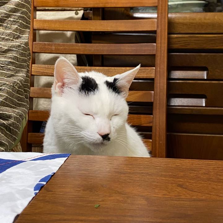 Bfd9264d be07 4d50 b60d 1d6de4fd1725 1646315224773