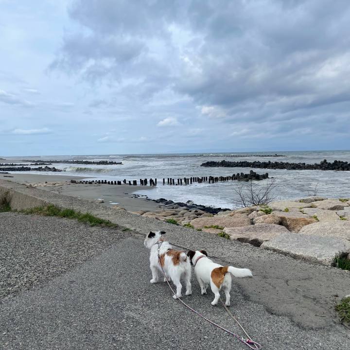 Bfd929f7 afa8 4d22 895b 841932ff4a1a 1681691191792