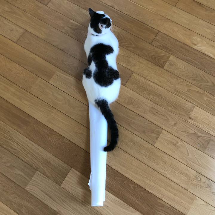 Bfd9b2d9 a16e 4f21 b70f 1358e8dfb1d3 1589873060518