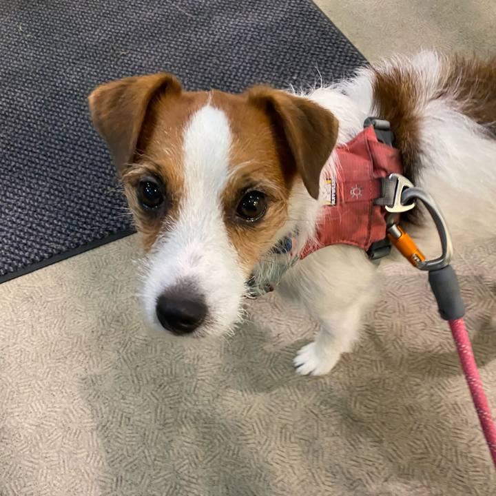 Bfd9e1e0 bef6 476a 94c2 4756ca2a03e3 1759661016248