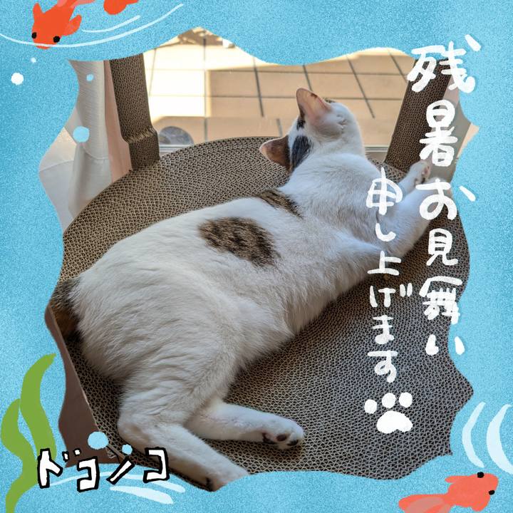 Bfd9e39f 0797 4242 b0a7 6348c35e0d46 1723262949509