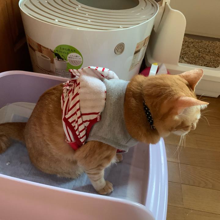 Bfda365e 1501 4768 abeb 02b9601e0848 1600119069205