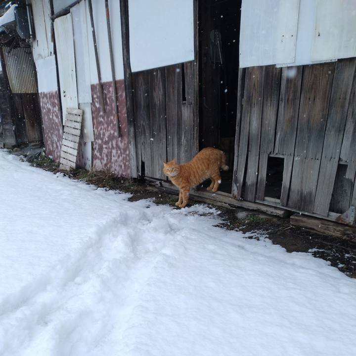 Bfda430c 8430 415b bf14 d1d260434d11 1676010595939