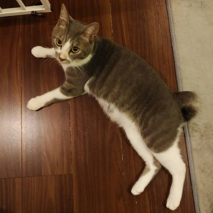 Bfda5f7d 318a 41c2 951f 6d358defbf78 1595773153143