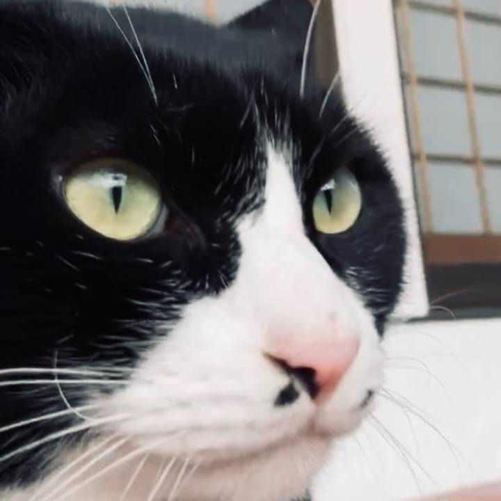 Bfda63e2 2da1 4b86 baa9 aa27cf34482d 1734831450816