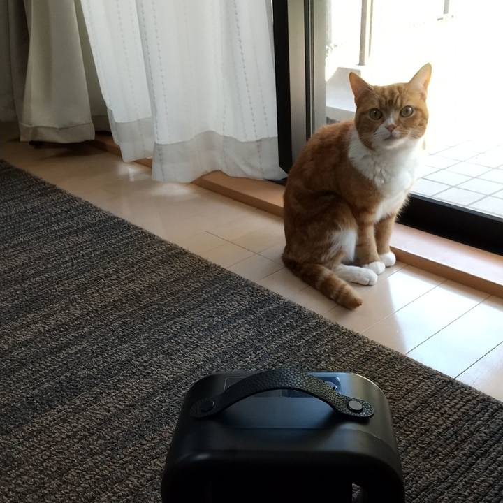 Bfdafa91 10b0 4e20 a719 d8d5e9c81574 1653278171674