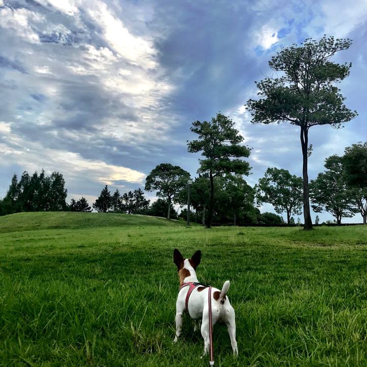 Bfdb250a 2c51 4369 a361 da277833fbd7 1531335505907