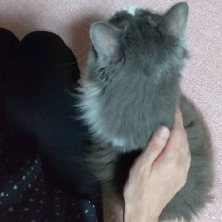 Bfdb2a33 8ca9 4f56 b7d7 6fd7e062f681 1756592296452