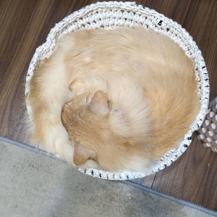 Bfdb498d 5c39 4ca1 957f cdd2d43bf06e 1751463304301