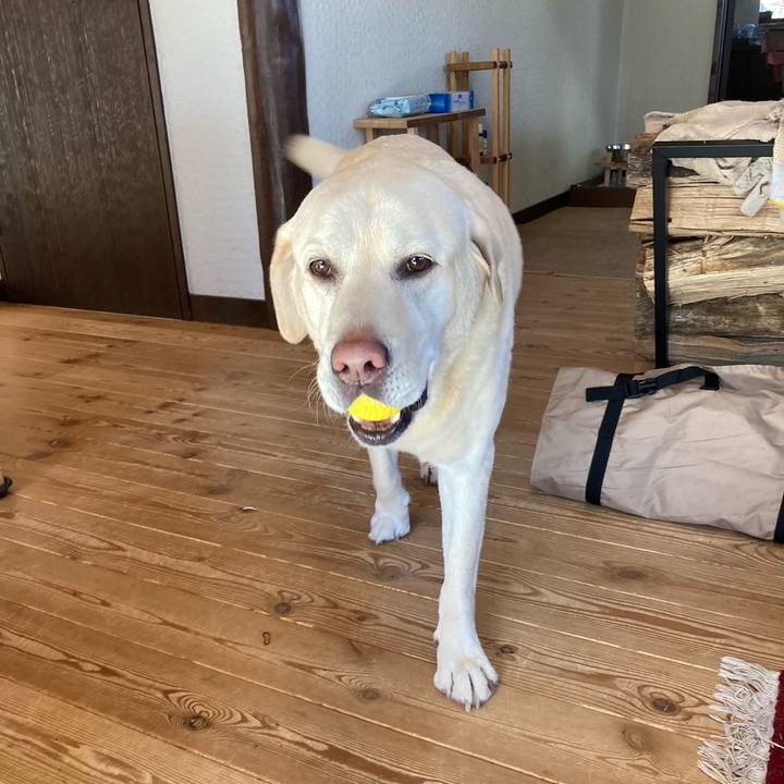 Bfdb4f40 32a5 42b4 8fd5 ab0a93c315b3 1671117889826