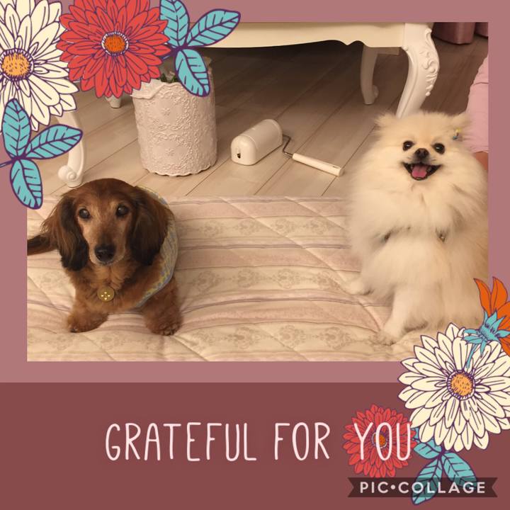 Bfdb63e6 e3d1 4422 9cc3 056e3b05c680 1570514356666