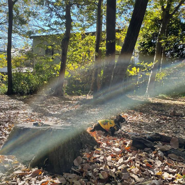 Bfdb78a5 eca9 4a7b b582 bf6fe201a44f 1606135248224