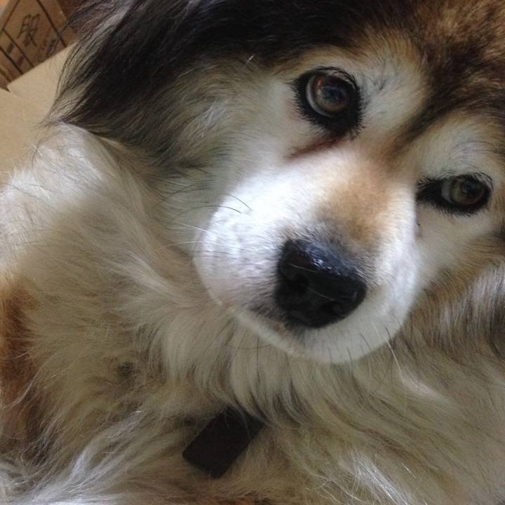 Bfdbb651 f37d 47a3 bdb0 e011b9861718 1570982474491