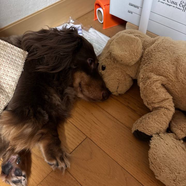 Bfdc3a19 3dc5 47fd b3cd e1ec5d0b7b69 1730717379680