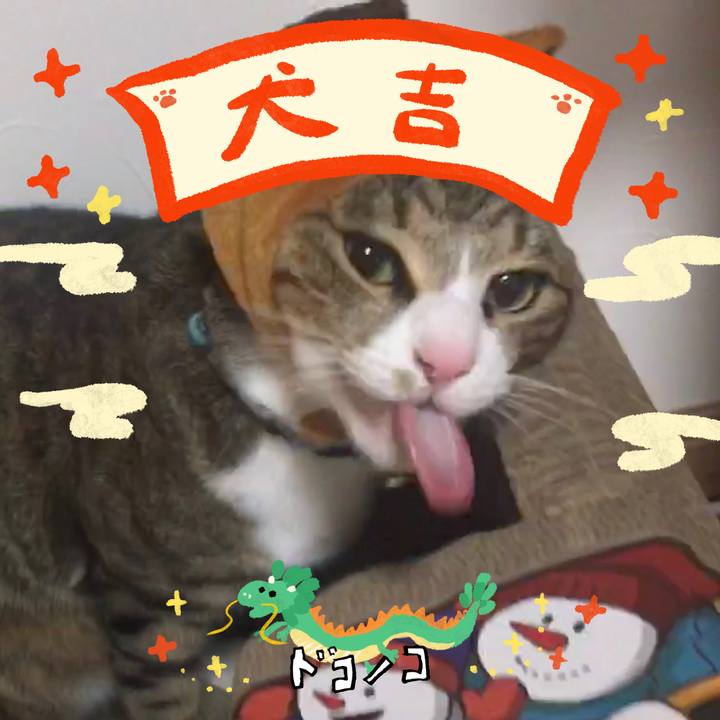 Bfdc71f9 1a30 4d29 aadc 5bce8c603032 1704475101379