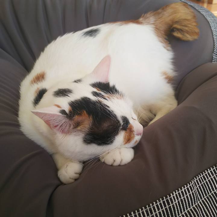 Bfdc77bb adef 435c b265 8186361e1078 1551144852882