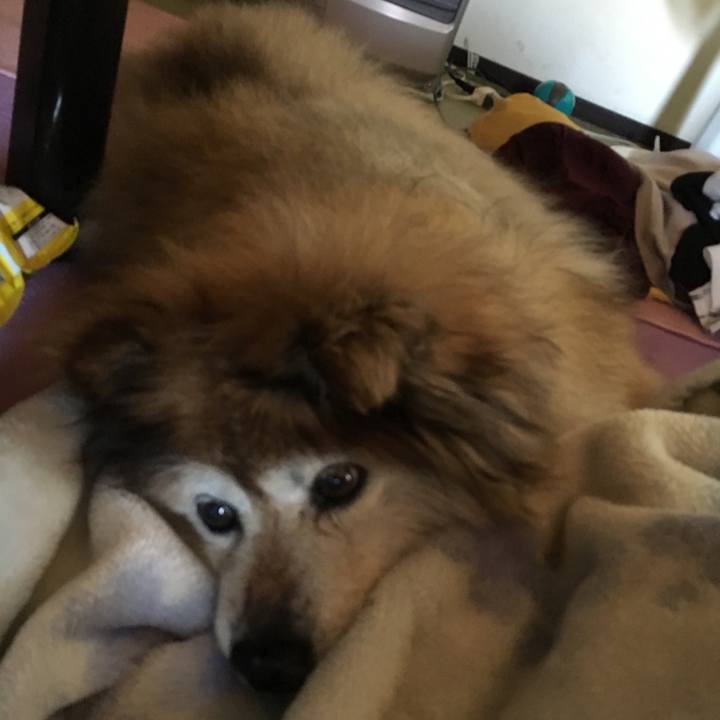 Bfdc8392 6211 46f9 8abb 238bcac0749d 1616072984470