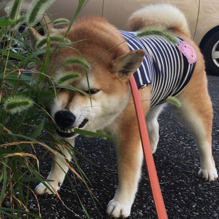 Bfdc957d 9b0a 40f9 85ed 9d1eee91ce6e 1565309780871