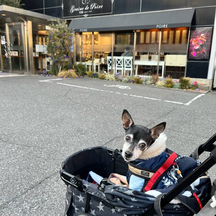 Bfdc9b2a f6e1 4e22 962b 080c2c8c608c 1645997765708