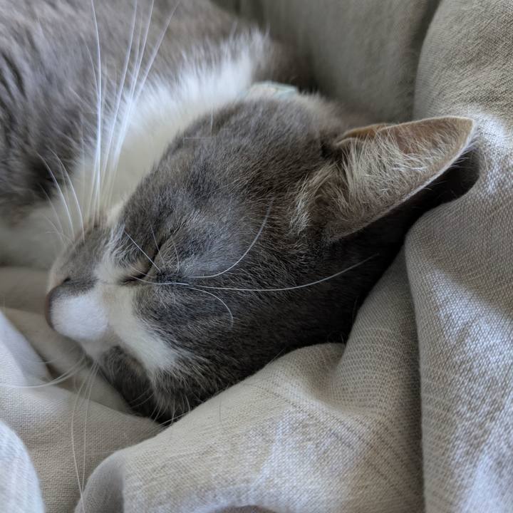 Bfdcbe45 38c9 4a08 b911 80a6fe319230 1761531085714