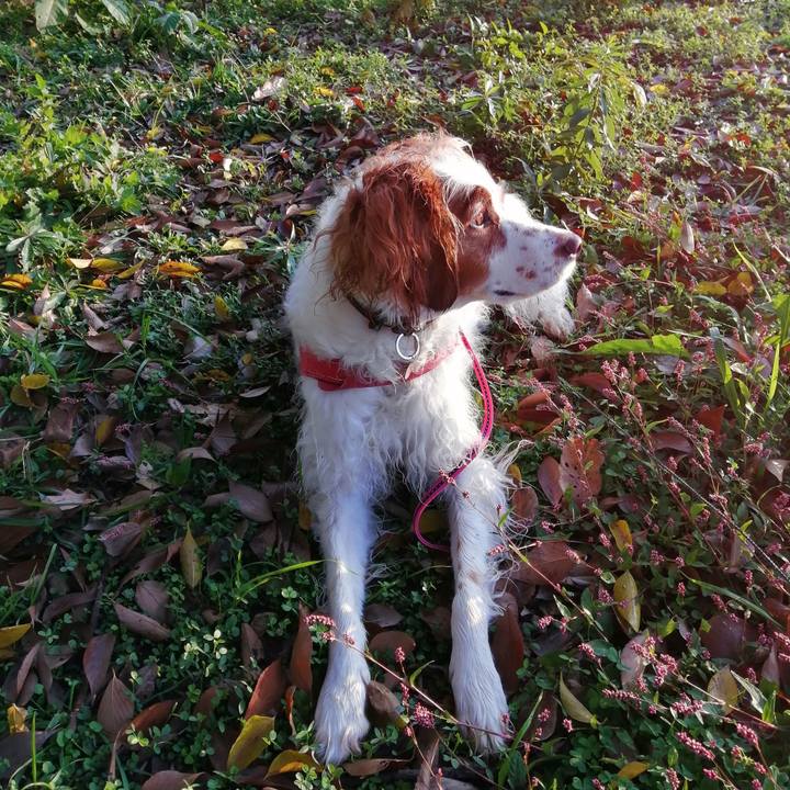 Bfdcc11a 0c44 4efd 9322 8dc9b4fb3bff 1605486386008