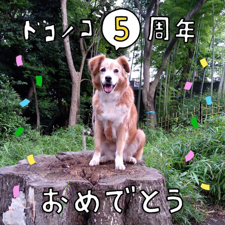 Bfdd09e1 14b3 4f63 8c49 4ddfef232bd7 1622968933940