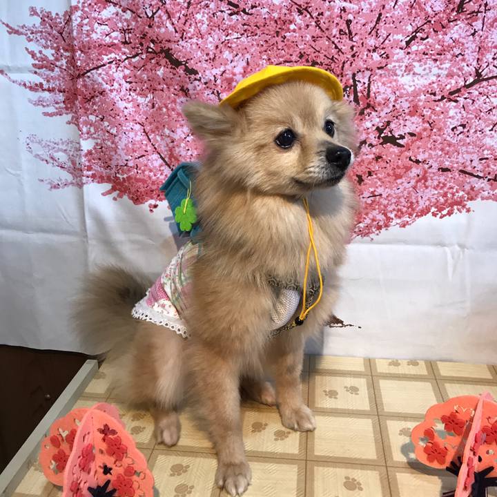 Bfdd0d61 9300 4192 aa8d d707186998f8 1553939012460