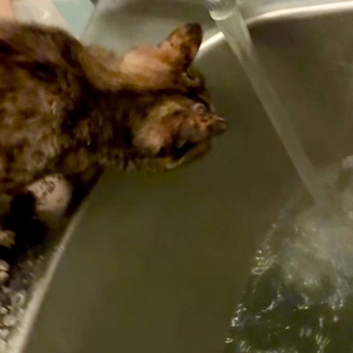 Bfdd50b8 76b7 4532 8de3 50e1ebd13022 1745352415702