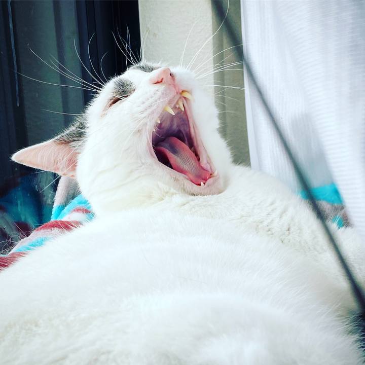 Bfdd810c 9a1c 47ba be66 97cac585a596 1627839611016