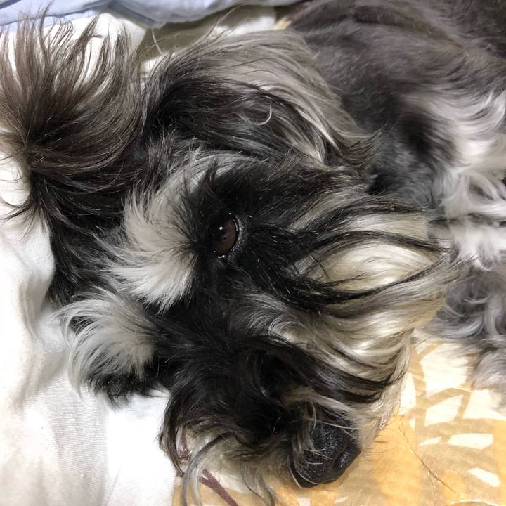 Bfdddb0e 8961 4575 90cb 635dcb1fe182 1528036936390