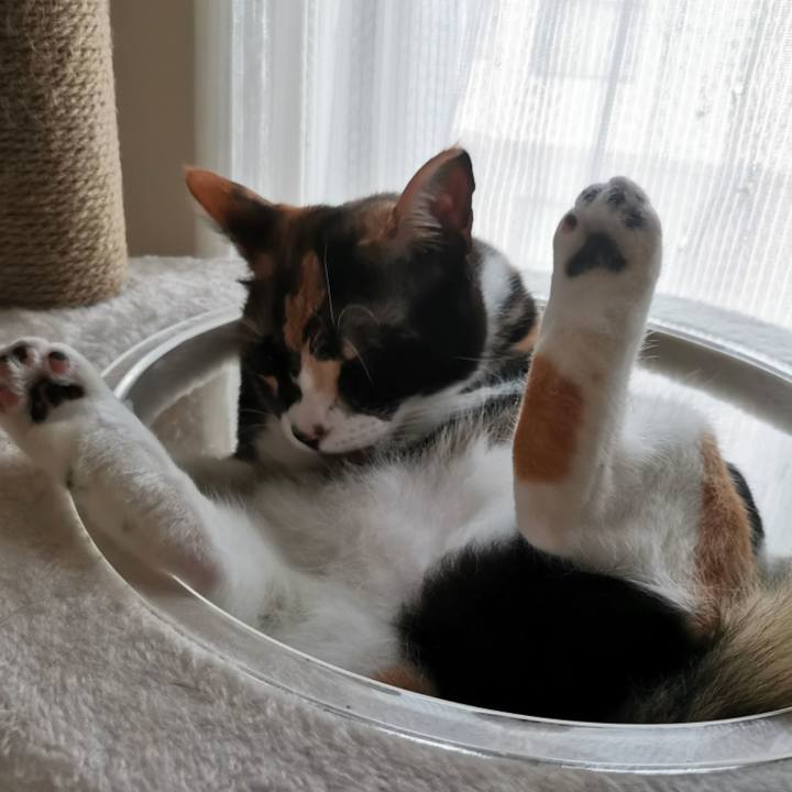 Bfdddc97 41e5 4d06 b891 fcc9822f63f5 1657511709190