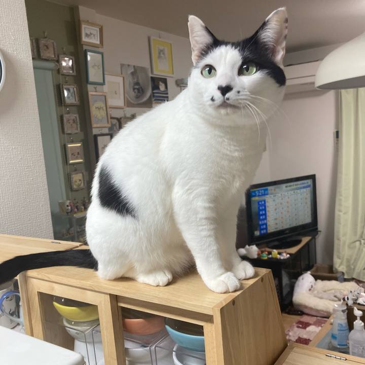 Bfde1168 43fa 4993 b83b 701639e3f9ce 1775420590558