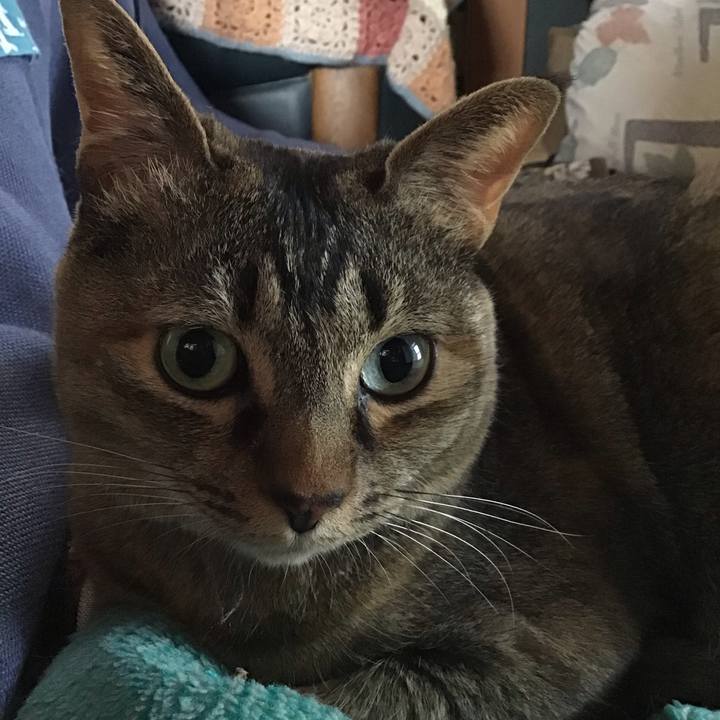 Bfde23cd 8bc9 4422 bd7e bfb8213cbe71 1747819563524