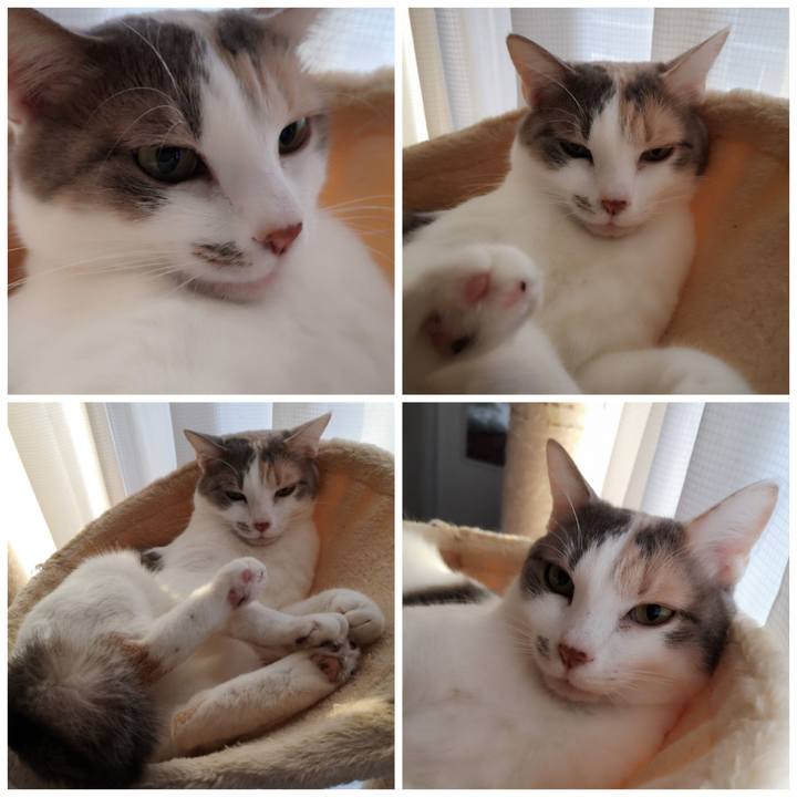 Bfde9fa7 065c 4d9b 8ba8 df2dd104676e 1613966694720