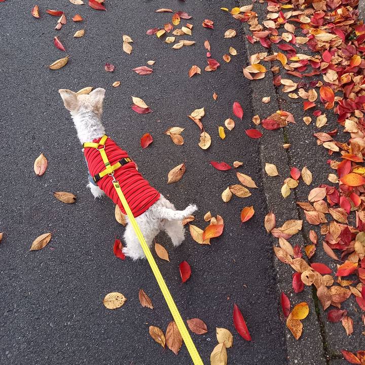 Bfdeb18c 2096 48ff b4c8 ff1e77a40593 1637293248766