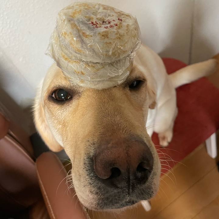 Bfdec906 8995 43df aa95 82c3aa7f164a 1676974022828