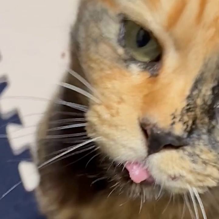 Bfdee20a a9e3 4be2 8c2d e0c956ed544c 1765573905991