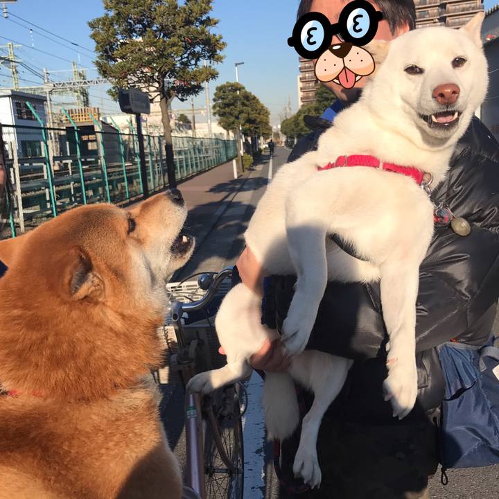 Bfdeec9c 2e7b 4d6e 9969 3b471ddd177b 1515832519811