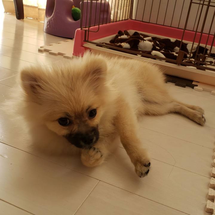 Bfdeef03 e350 4747 b227 a5128ec89e23 1618187363843