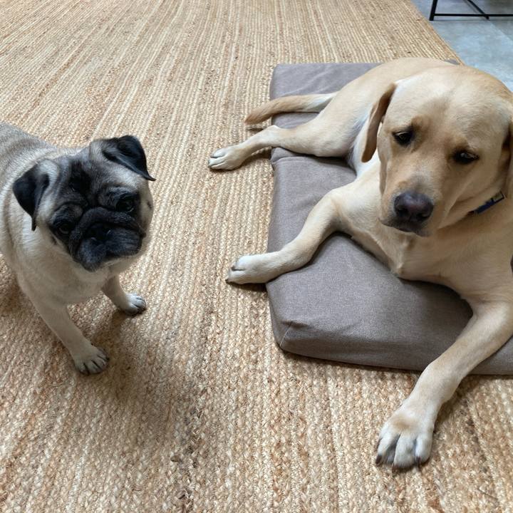 Bfdf202b 8a51 4933 bff0 033355a01c34 1761776674249