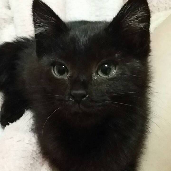 Bfdf5a0a 38d1 43b9 ae55 3339cf828d76 1534370397265