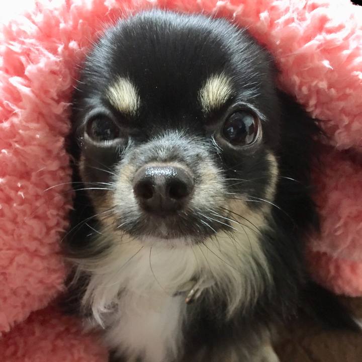 Bfdf71ad 2d16 41c7 8180 23382b4c6ef1 1540212146232