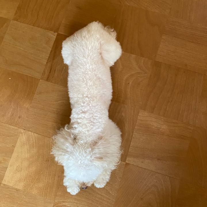 Bfdf957f 3163 40dc 8bf1 e4036342c76e 1625873915907