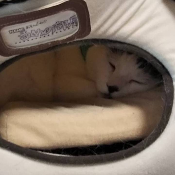 Bfdfc604 a16d 40c3 b55e 54f0ff6dce67 1537971093263